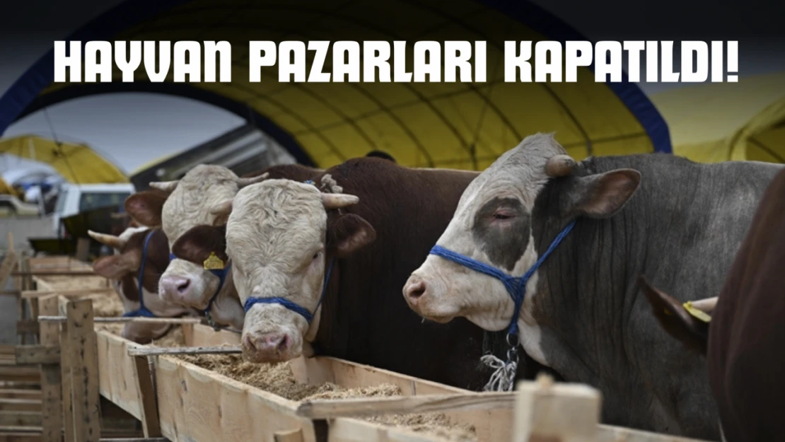 Hayvan Pazarları Kapatıldı!