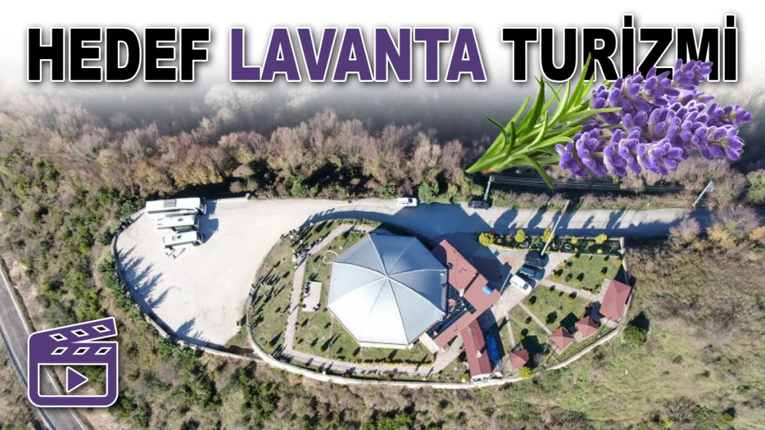 Hedef Lavanta Turizmi: Kastamonu Lavanta Kokacak