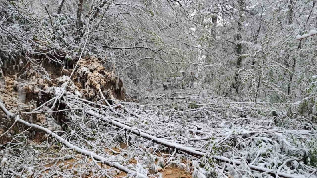 Kapanan Yol Yeniden Ulaşıma Açıldı