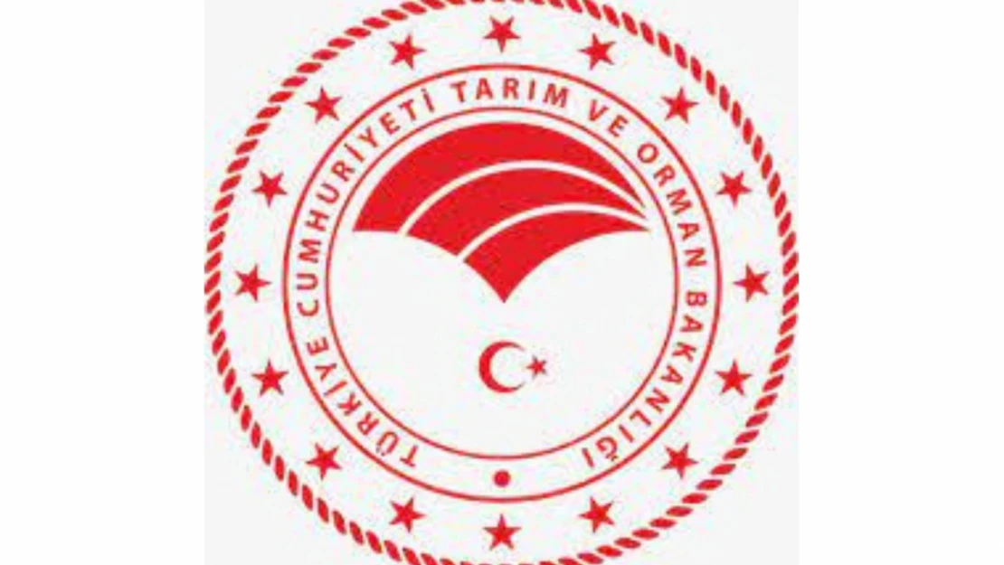 Hibeler için listeler yayımlandı