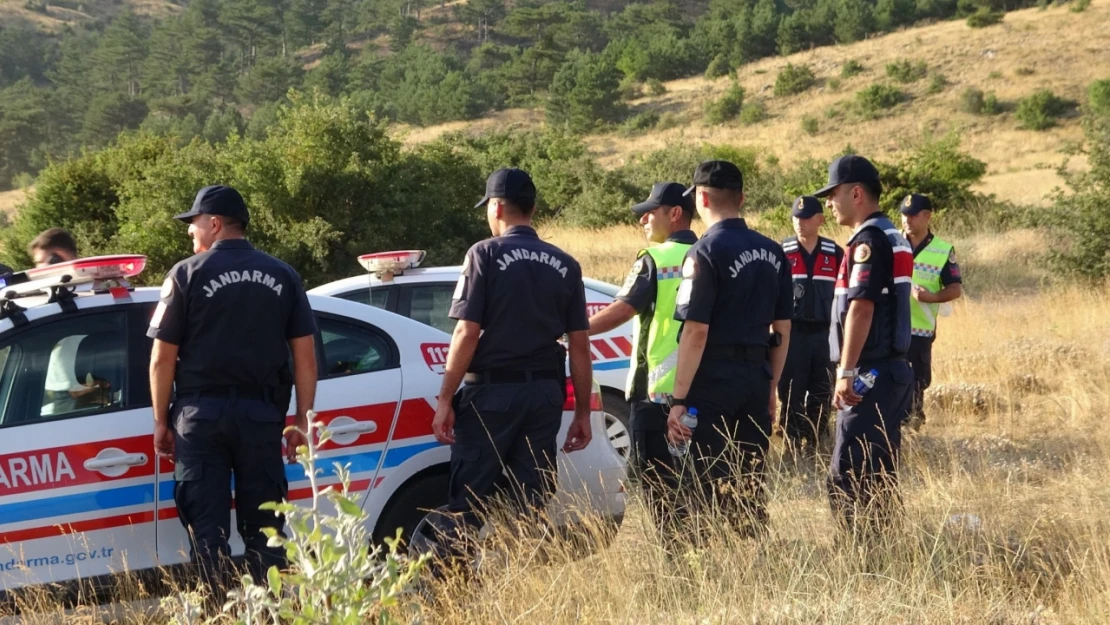 Hırsızlar ahırdaki 25 büyükbaş hayvanı çaldı