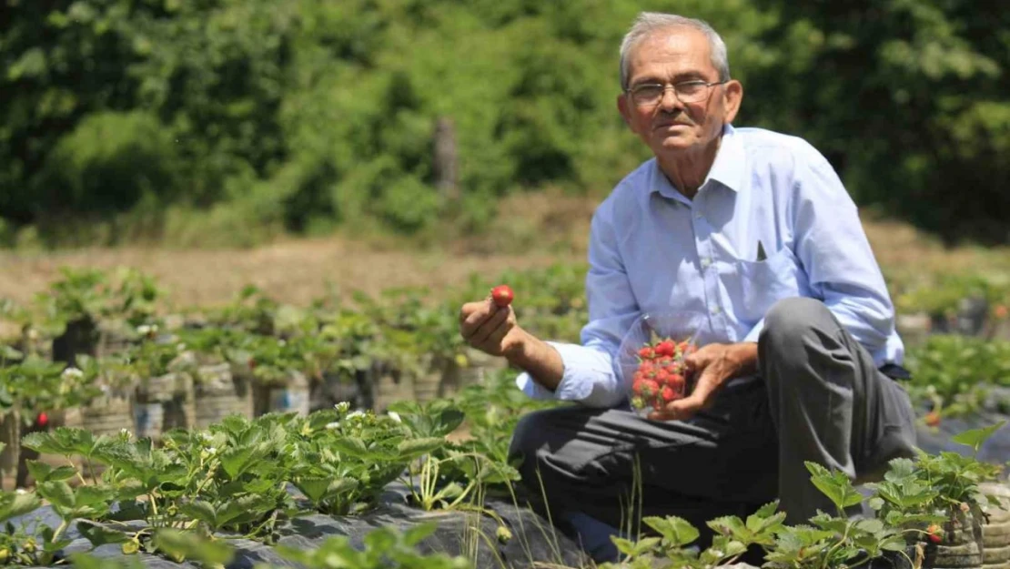 Hobi Amaçlı Başladı, Gelir Kapısı Oldu