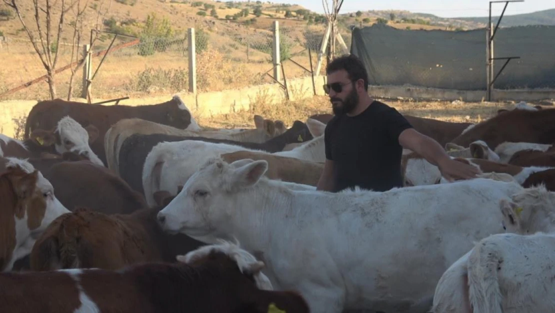 Hobi olarak başladı, Türkiye'nin dört bir yanına hayvan satıyor