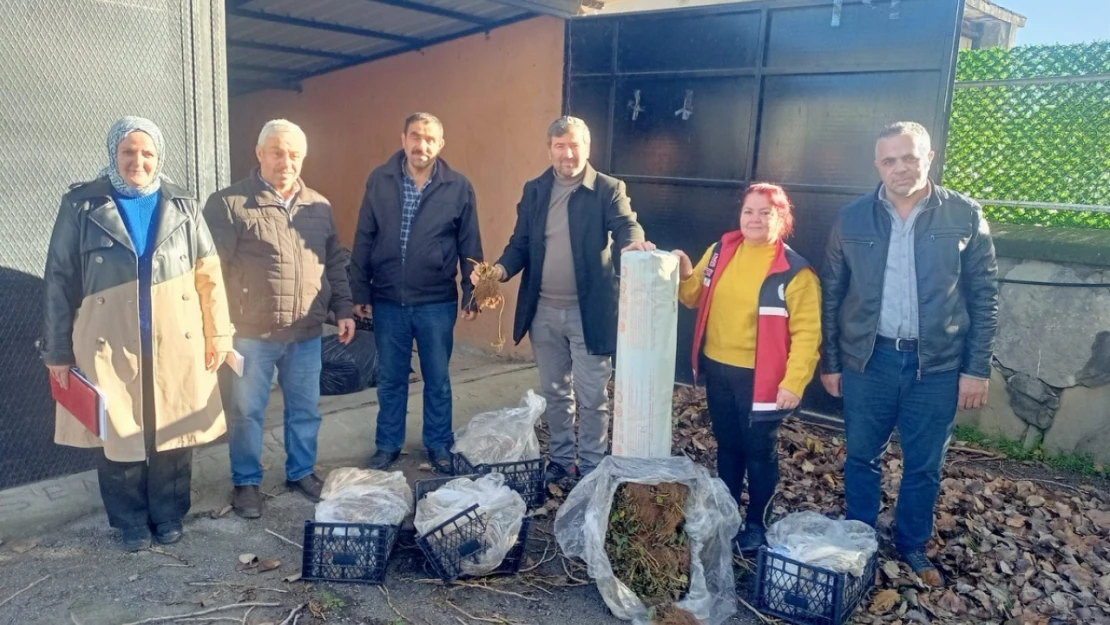 Hürmetli Köyünde Malçlı Çilek Fidesi Yetişecek