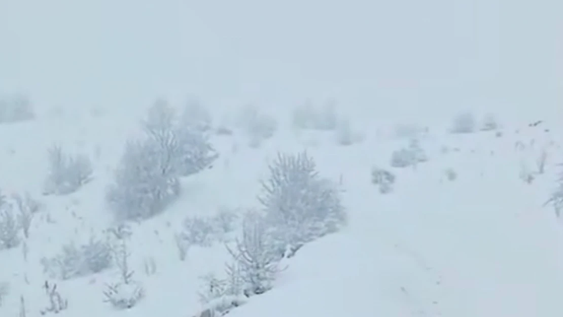 İhsangazi'de Karla Mücadele Çalışmaları Aralıksız Sürüyor