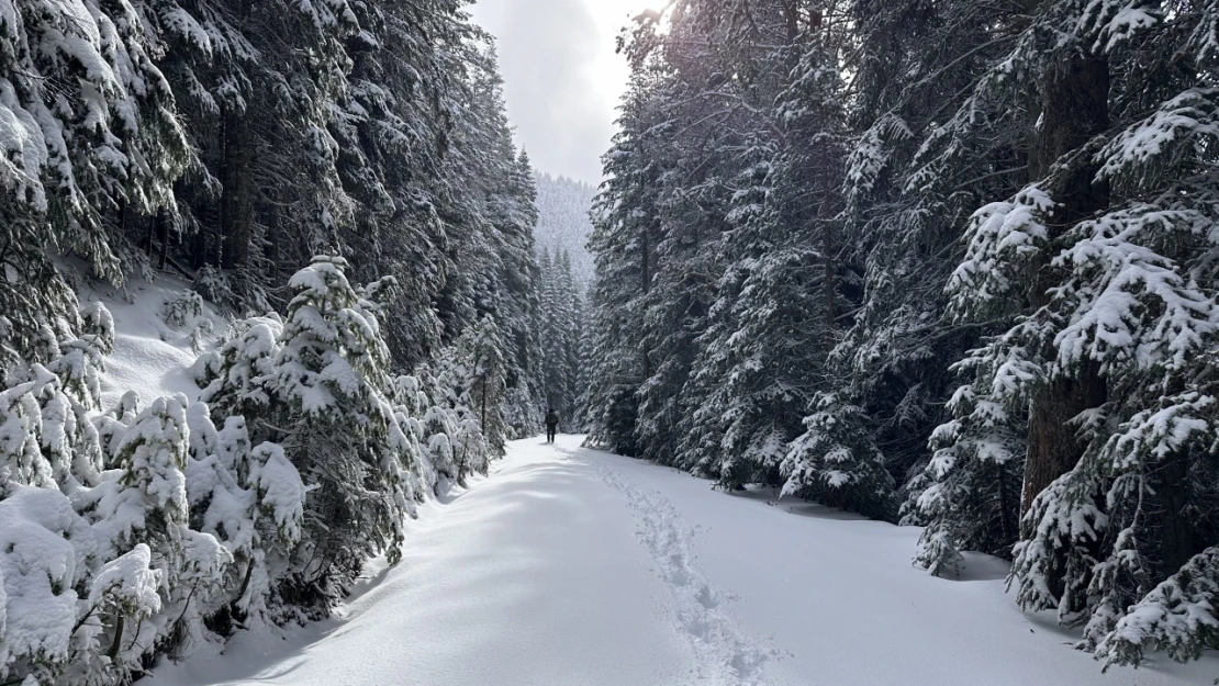 Ilgaz Dağı'nda Kar Manzaraları