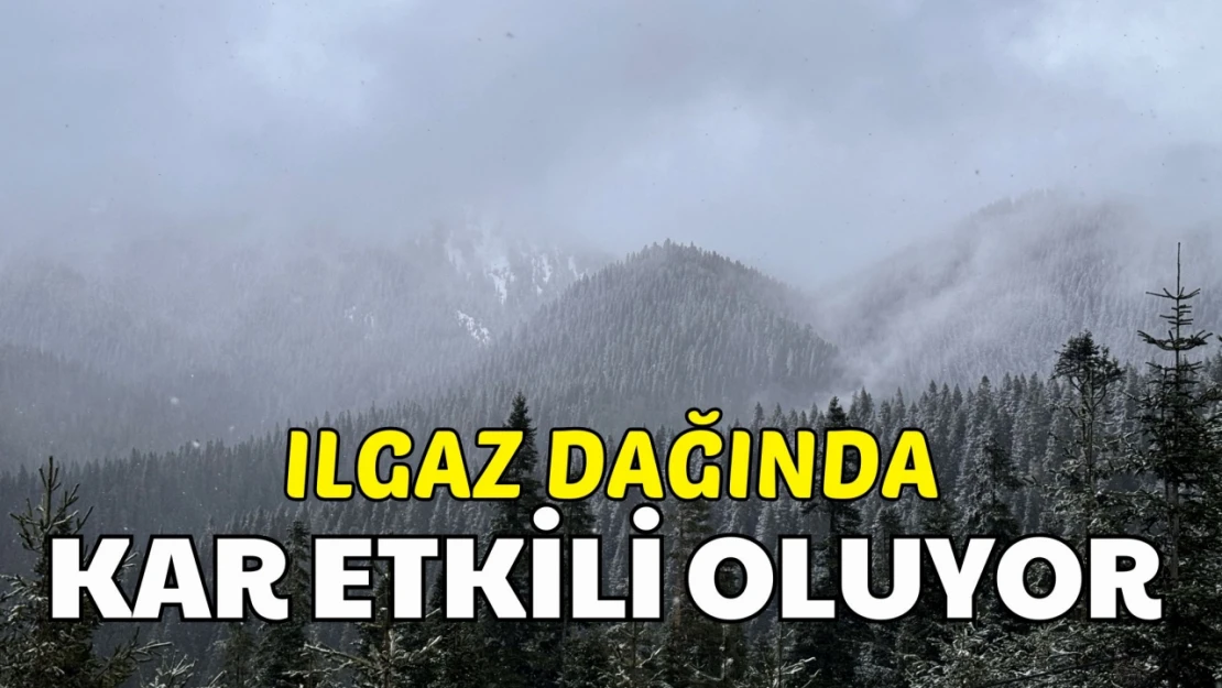 Ilgaz Dağı'nda Kar Yağışı Etkili Oldu