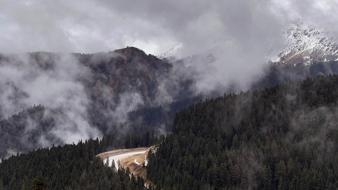 Ilgaz Dağı'nda Sis Etkili Oldu