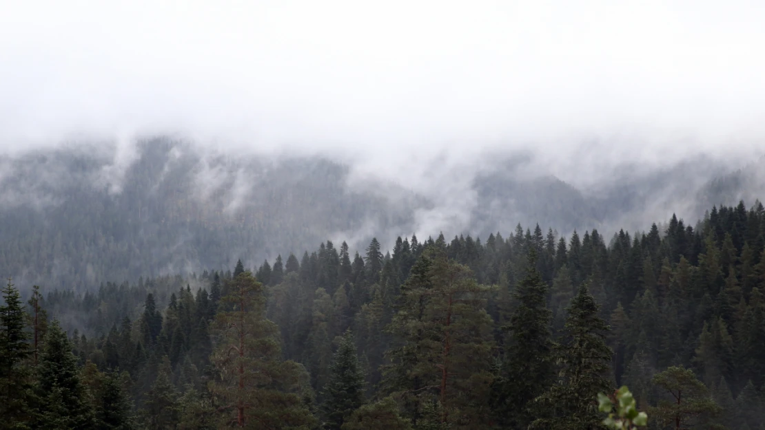 Ilgaz Dağı'nda Sis Etkili Oldu