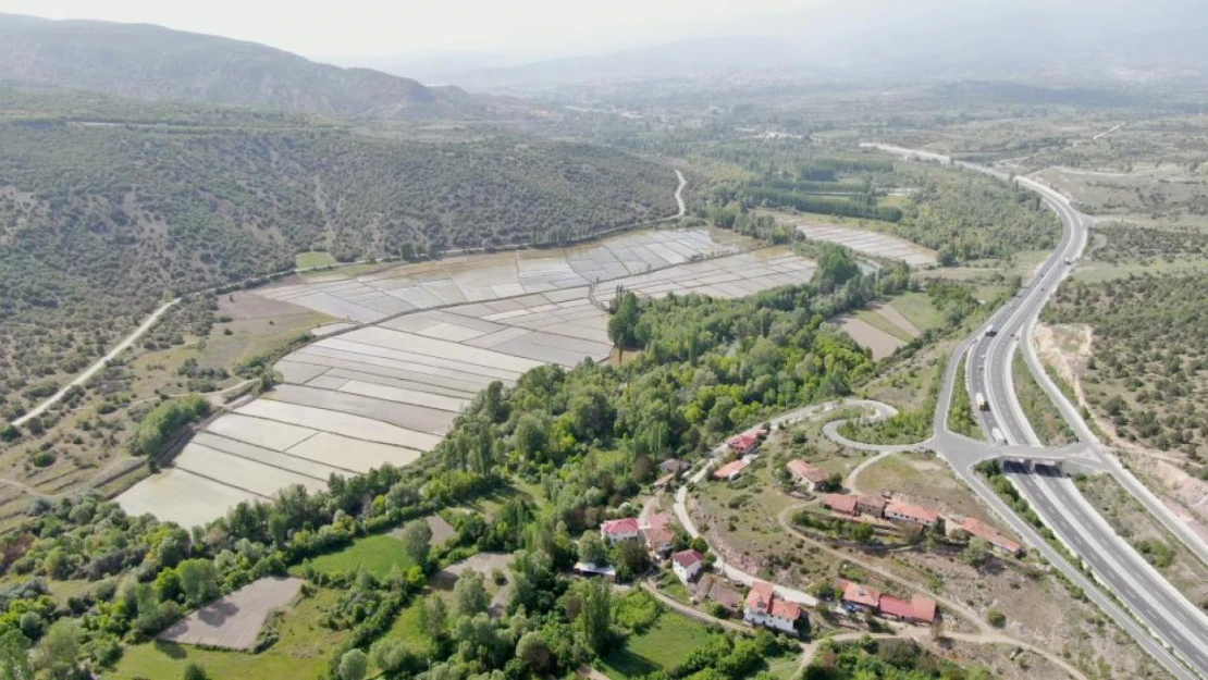 Ilgaz'ın Beslediği Tarlalarda Çeltik Ekimi Başladı