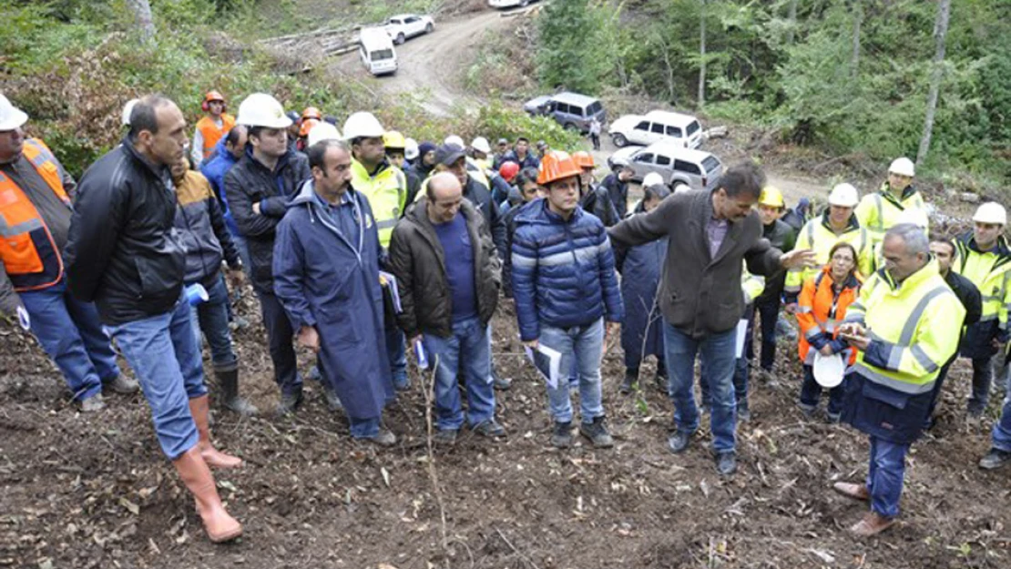 Ilgaz'da Silvikültür eğitimi