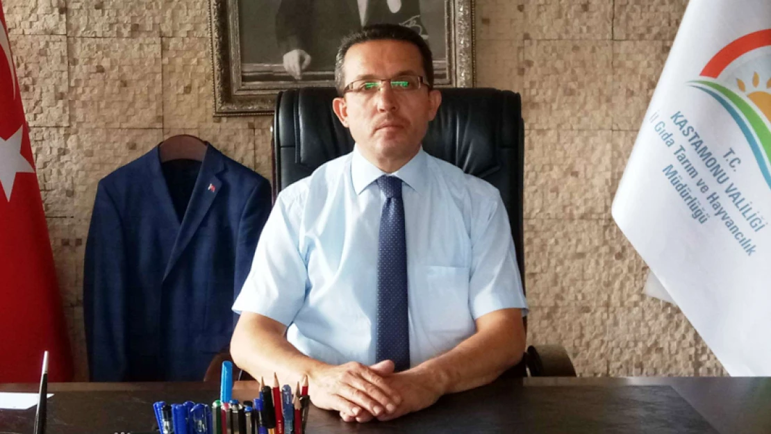 'İlimizde herhangi bir hayvan hastalığı yok'