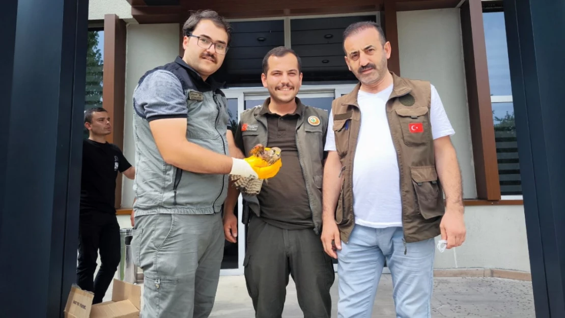 İlk Yardım Ormancılardan