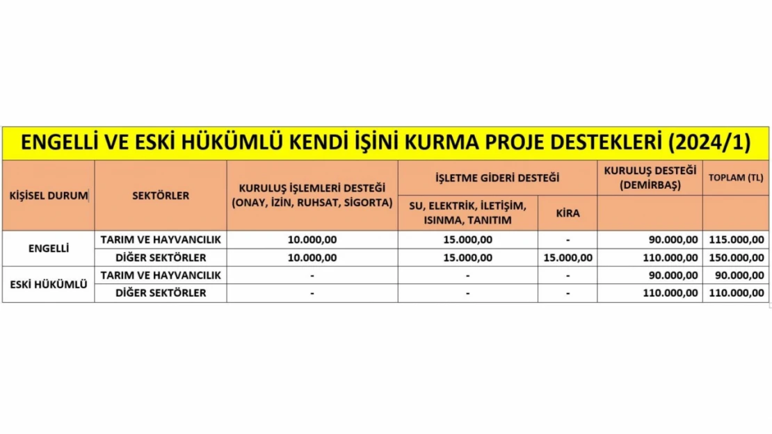 İŞKUR hibe desteği başvuruları başladı