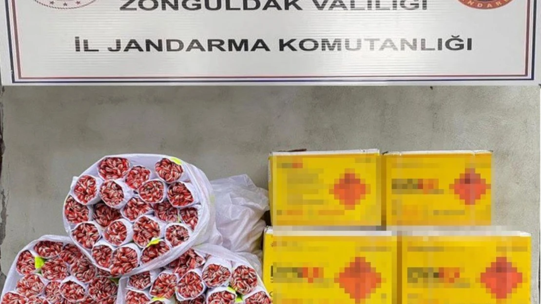 Dinamit ve Fünye Ele Geçirdi