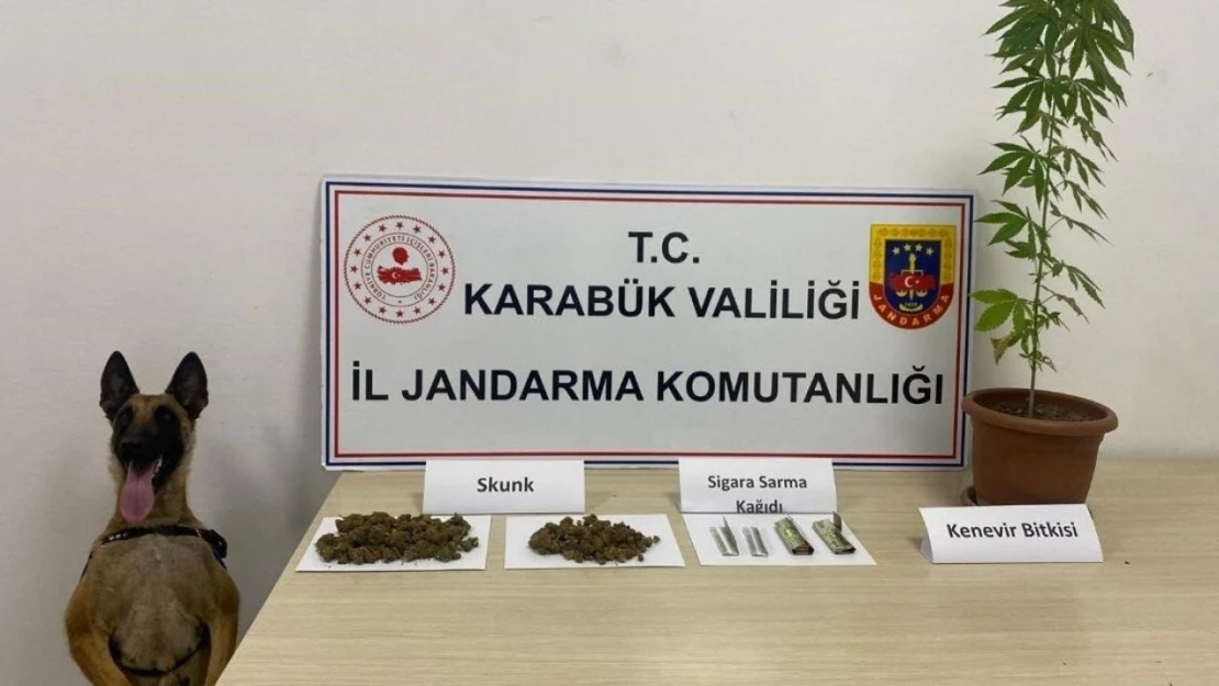 Jandarmadan Uyuşturucu Operasyonu