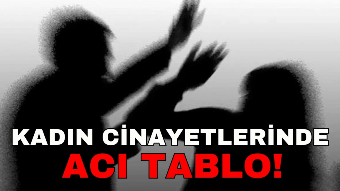 Kadın Cinayetlerinde Acı Tablo!