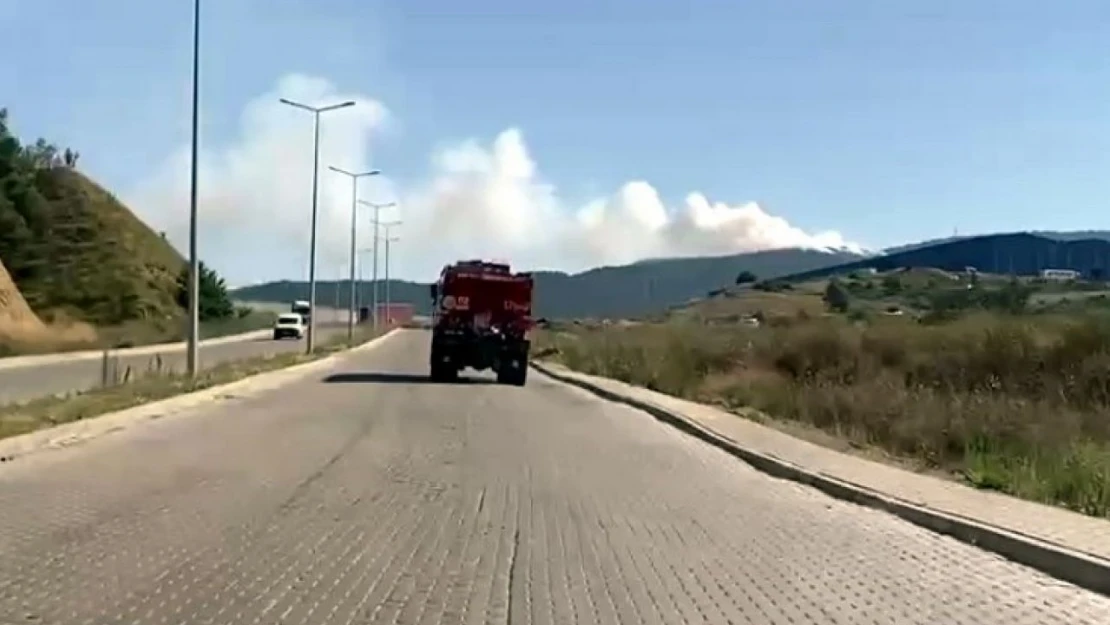 Karabük'te Orman Yangını