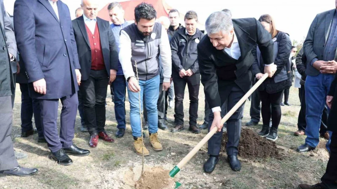 Karabük'te Sumak Fidanları Toprakla Buluştu