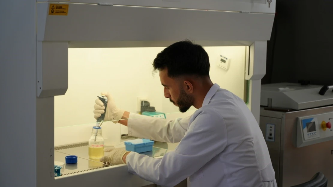 Karabük Üniversitesi en iyi üniversiteler arasında