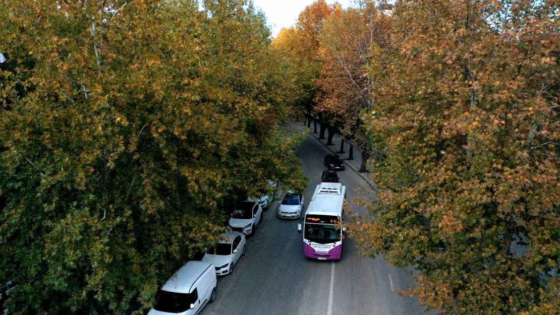 Karaçomak Deresi'nde Sonbaharın Renkleri Hakim