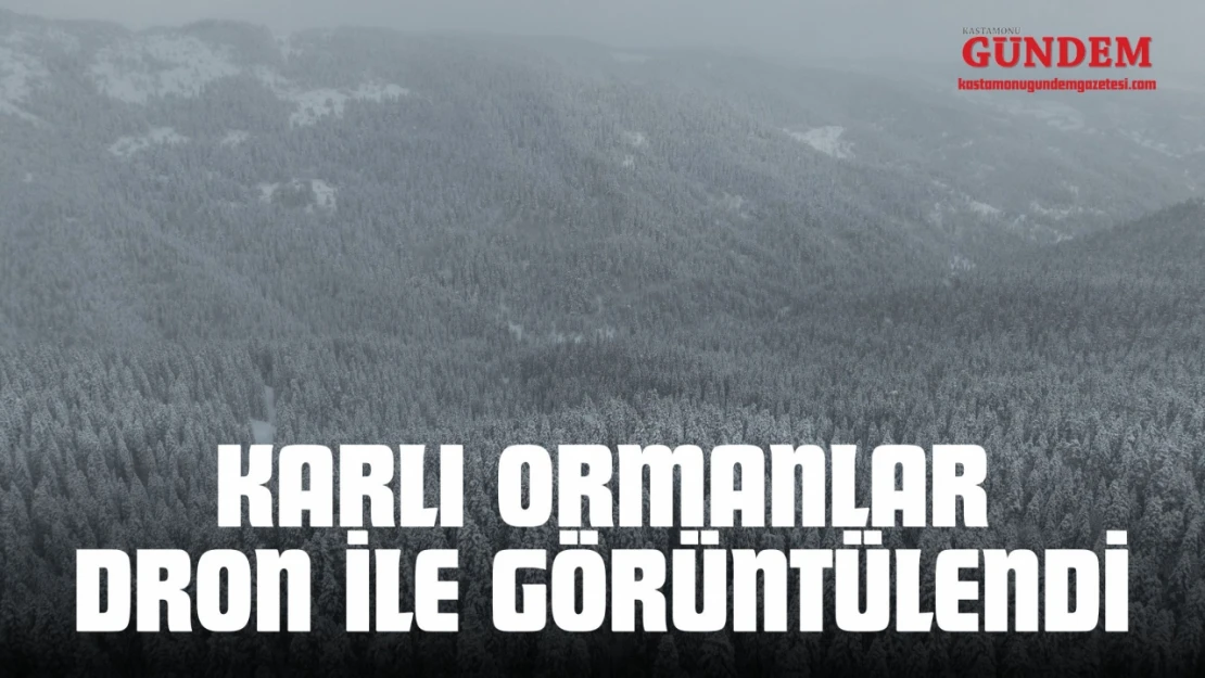 Karlı Ormanlar Dron İle Görüntülendi