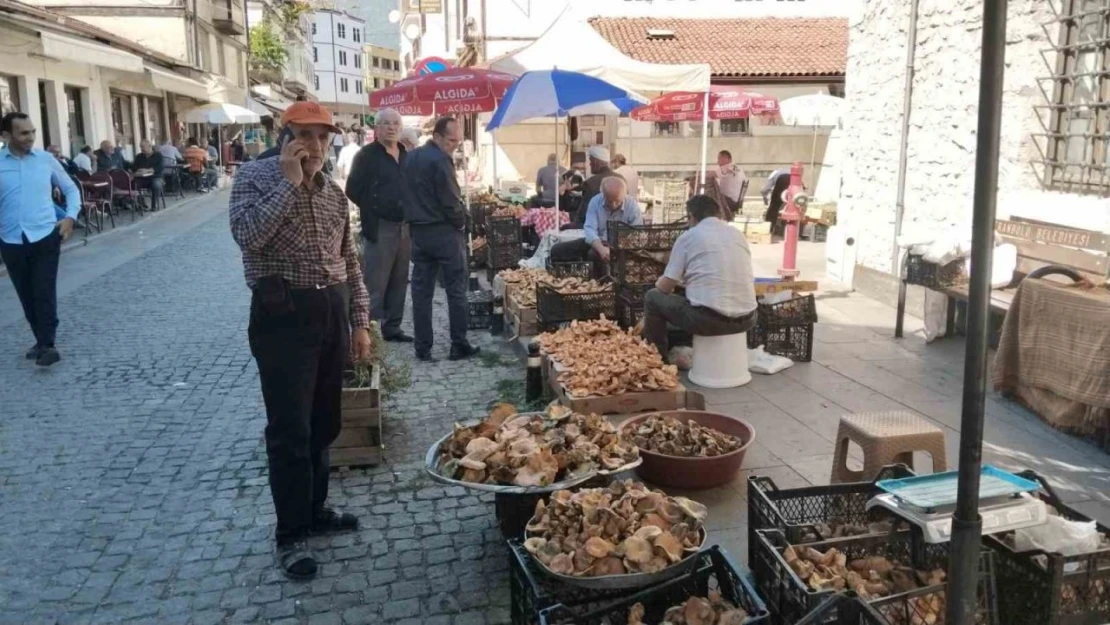 Kasa Kasa Kanlıca Mantarında Fiyatlar Düştü