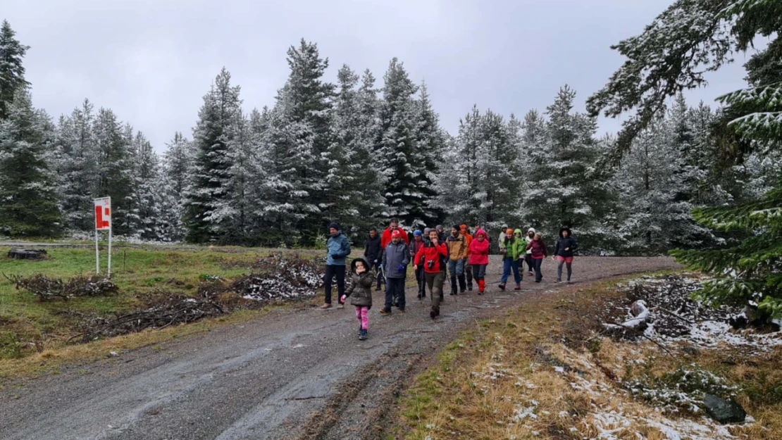 Kastamonu Araç'ta bahar karı