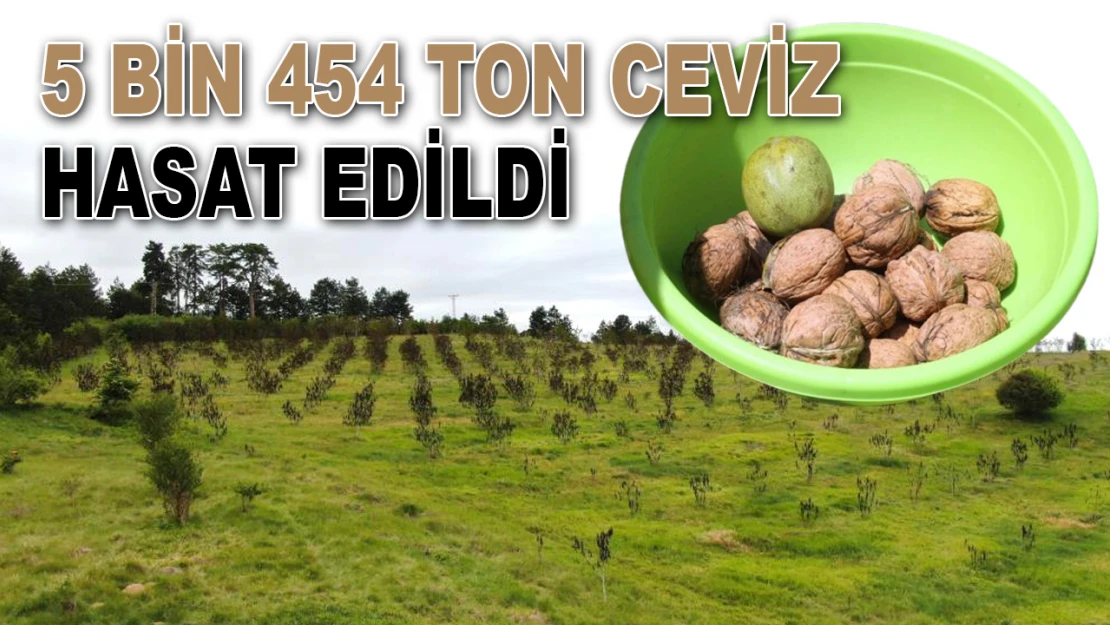 Kastamonu'da 5 Bin 454 Ton Ceviz Hasat Edildi