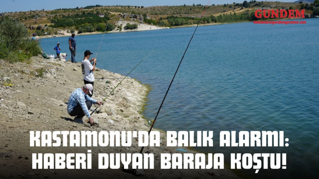 Kastamonu'da Balık Alarmı: Haberi Duyan Baraja Koştu!