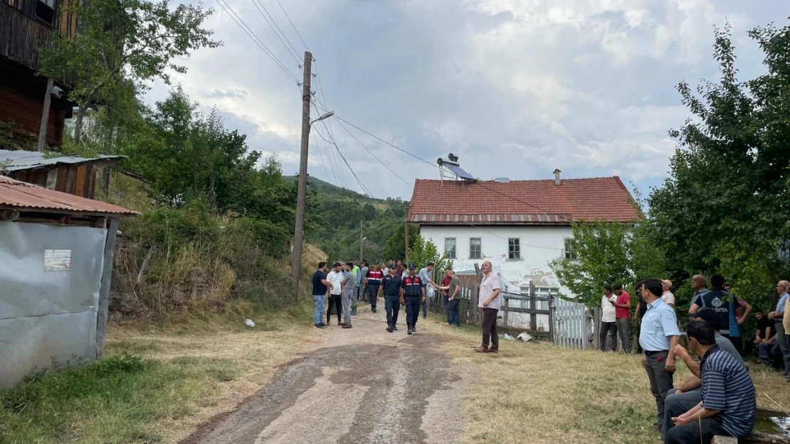 Kastamonu'da Bir Orman Yangını Daha Çıktı