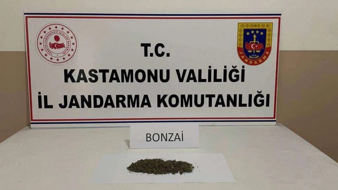 Kastamonu'da bonzai ele geçirildi