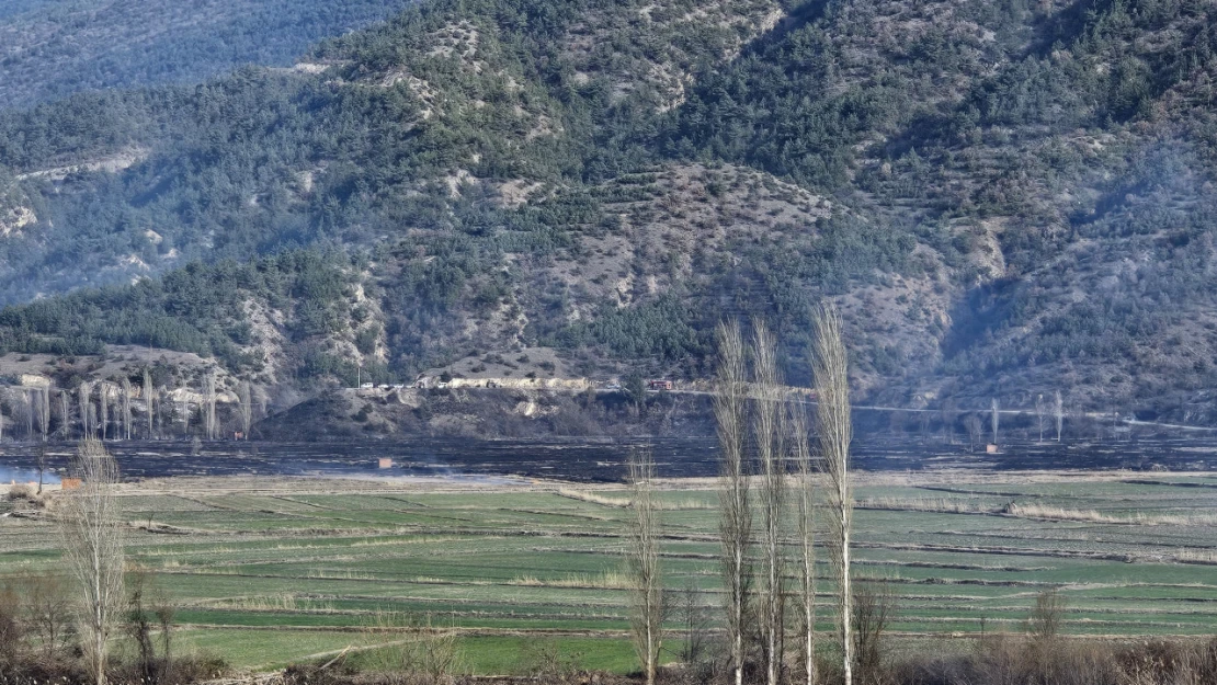 Kastamonu'da Çeltik Tarlasında Çıkan Yangın, Ormana Sıçradı!