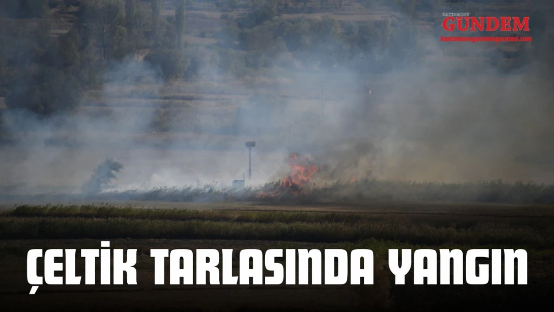 Kastamonu'da Çeltik Tarlasında Yangın