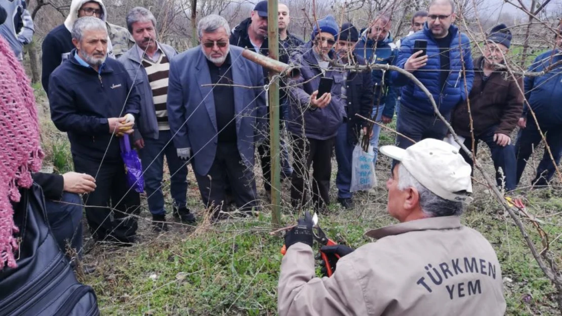 Kastamonu'da çiftçilere aşılama ve budama eğitimi verildi