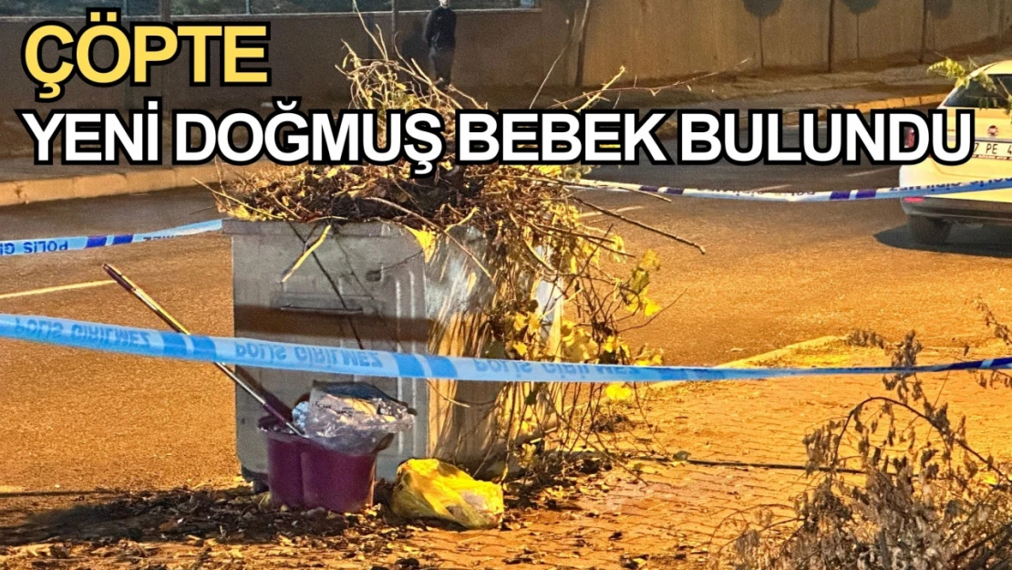 Kastamonu'da çöpte yeni doğmuş bebek bulundu