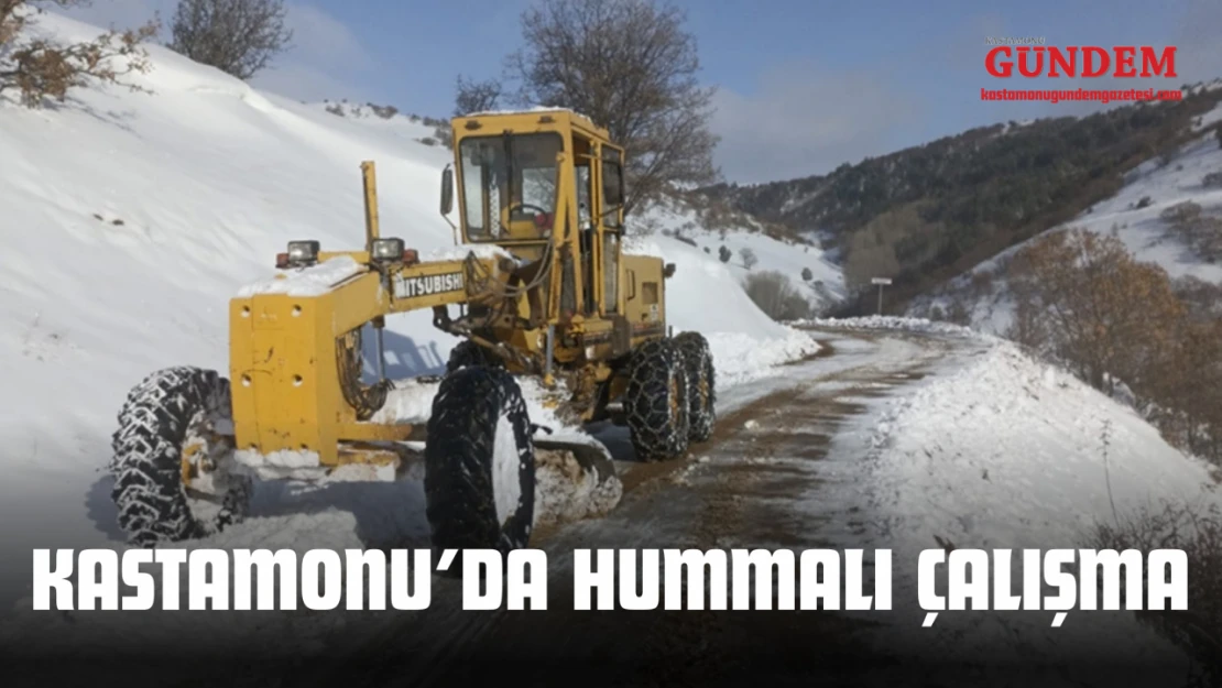 Kastamonu'da Hummalı Çalışma