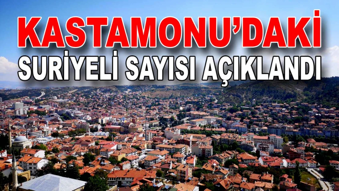 Kastamonu'da Kaç Suriyeli Var?