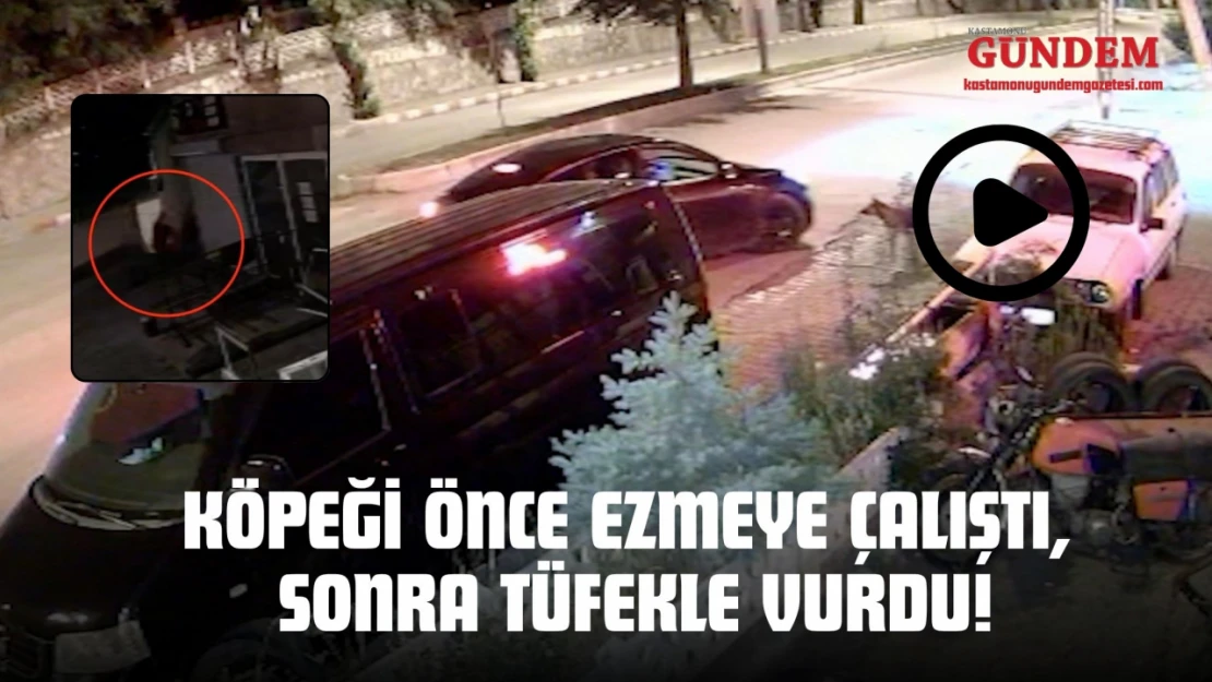Kastamonu'da Kan Donduran Olay: Köpeği Önce Ezmeye Çalıştı, Sonra Tüfekle Vurdu!