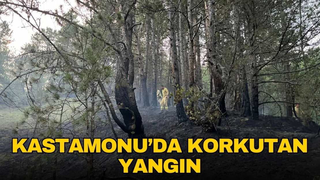 Kastamonu'da Düşen Yıldırım Orman Yangınlarına Sebep Oldu