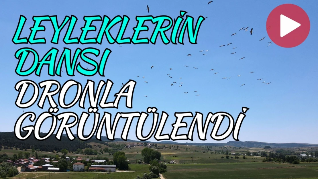 Kastamonu'da Leyleklerin Dansı Dronla Görüntülendi