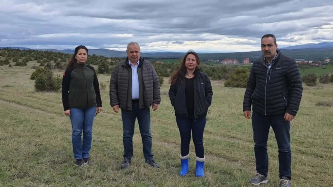 Kastamonu'da orman köylüsüne destek