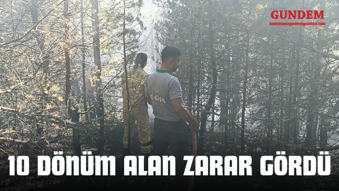 Kastamonu'da Orman Yangını: 10 Dönüm Alan Zarar Gördü