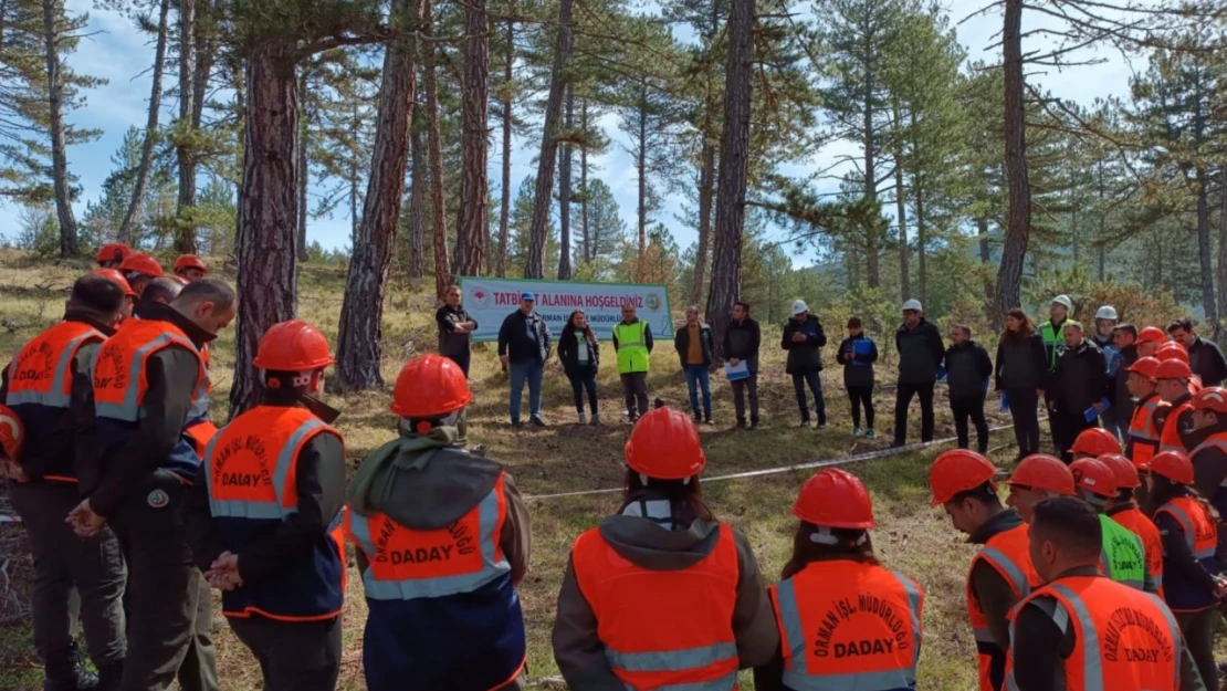 Kastamonu'da ormancılık eğitimi