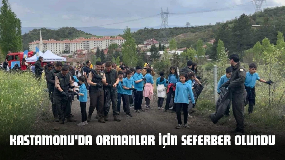 Kastamonu'da Ormanlar İçin Seferber Olundu