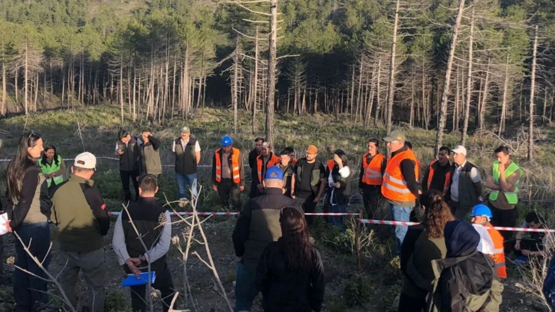 Kastamonu'da silvikültür eğitimleri devam ediyor