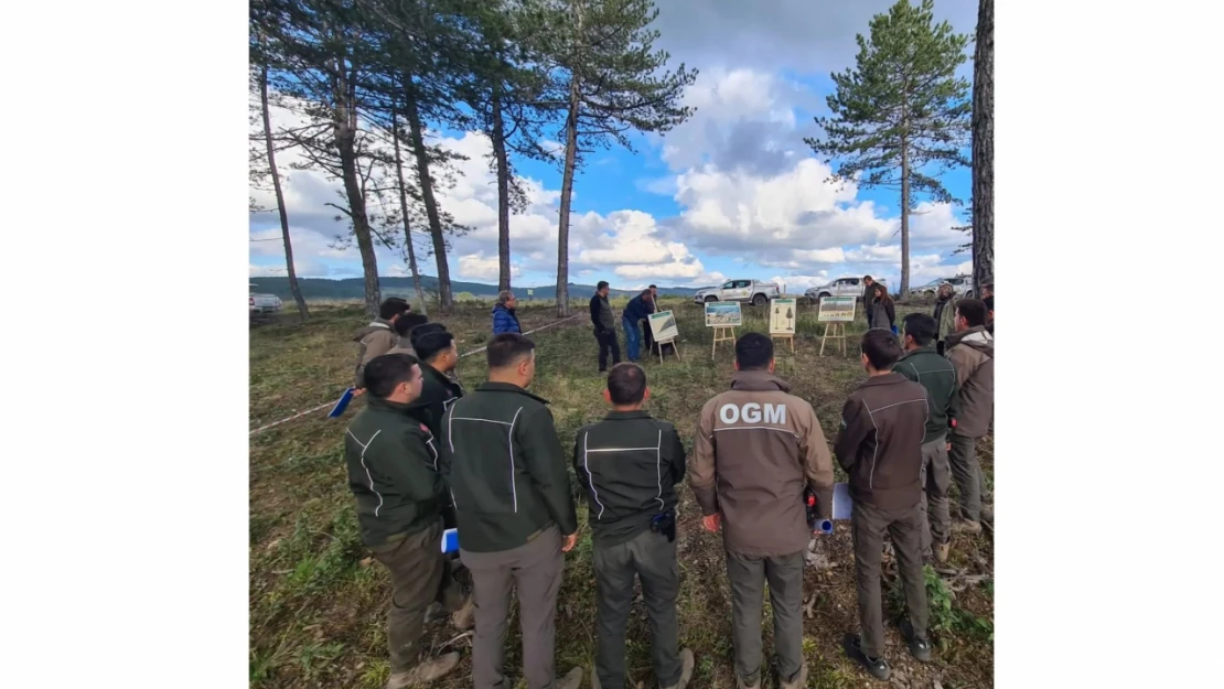 Kastamonu'da Silvikültür Tatbikatı gerçekleştirildi