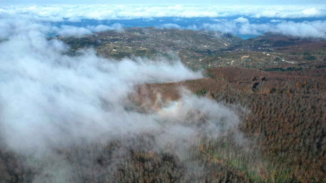 Kastamonu'da Sis Dron İle Görüntülendi