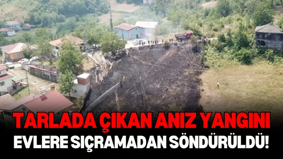 Anız Yangını, Evlere Sıçramadan Söndürüldü