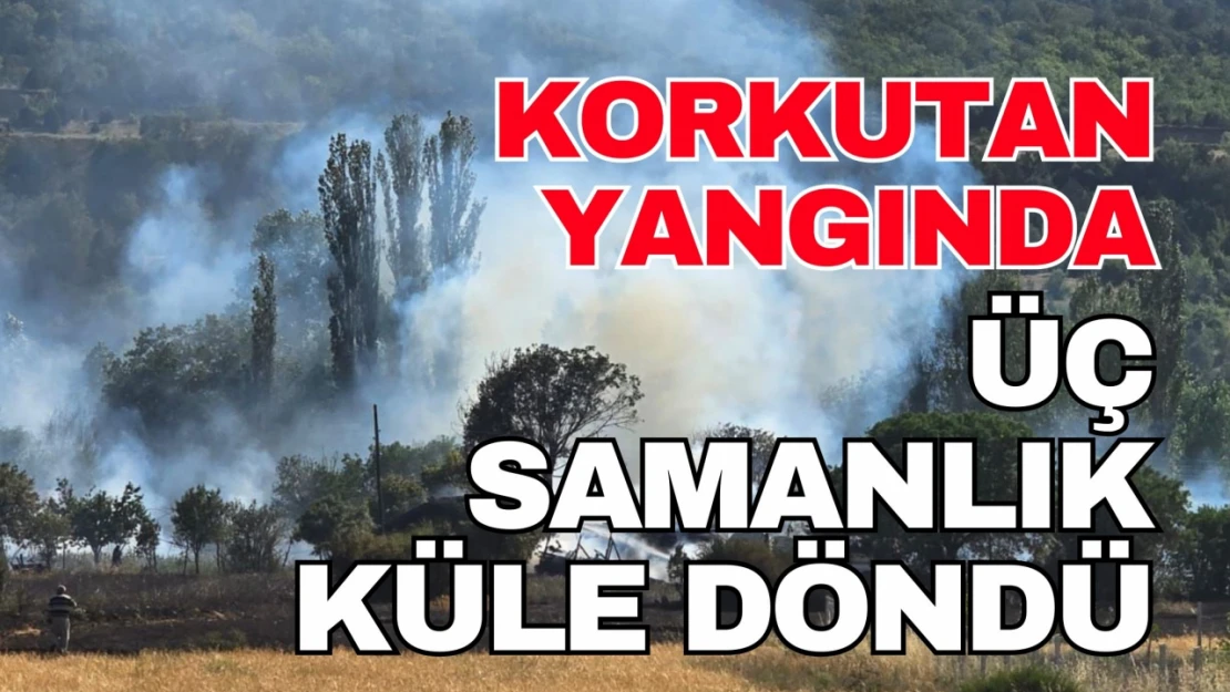 Kastamonu'da Üç Samanlık ve Ekin Tarlası Yandı